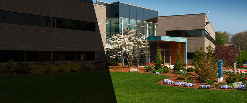 Carteret Landscapers