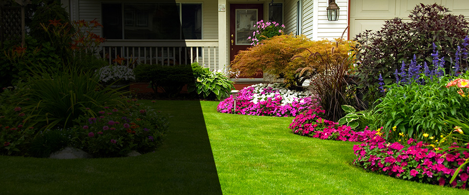 Carteret Landscapers