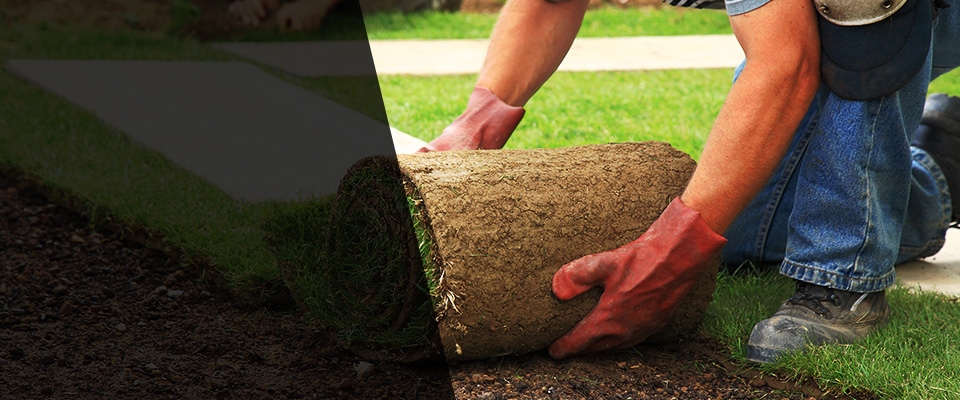 Carteret Landscapers